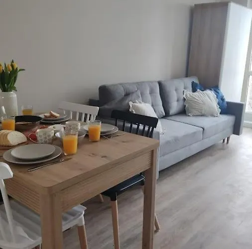 아파트 Pomieszkaj Na Kosmonautow 포즈난